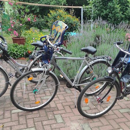 Ferienwohnung Am Olbasee Malschwitz Exterior foto